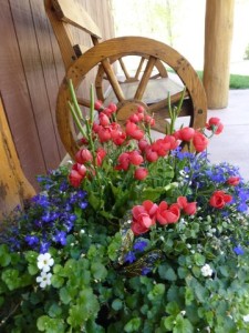 Posies greet you, Idaho campgrounds