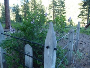 Visit Gibbonsville Cemetery from Wagonhammer Campgrounds