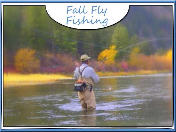 Salmon River Fly fishing
