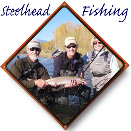 Steelhead Fishing