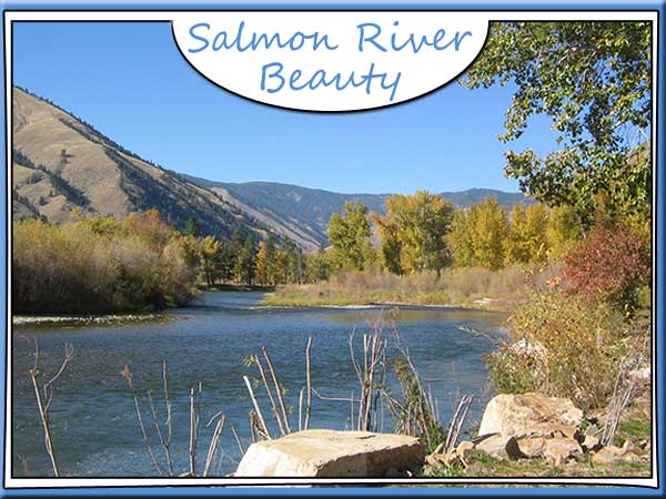 Salmon River view