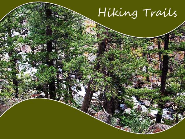 Iaho hiking trails